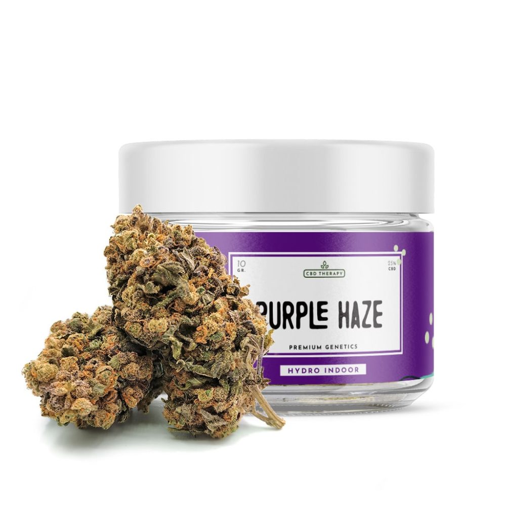 Purple Haze - CBD Shop Online für Cannabis und legales Kraut - CBD Therapie